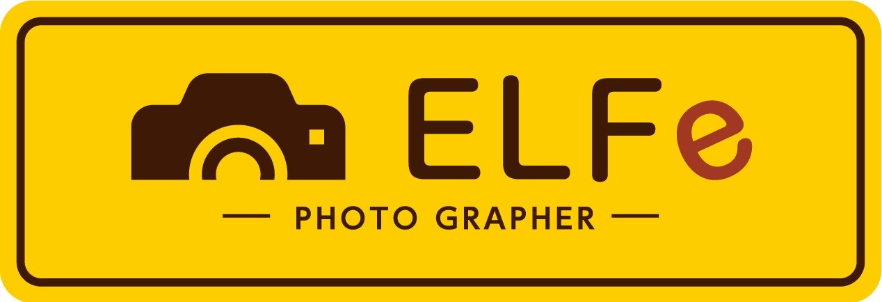 ELFe  official site